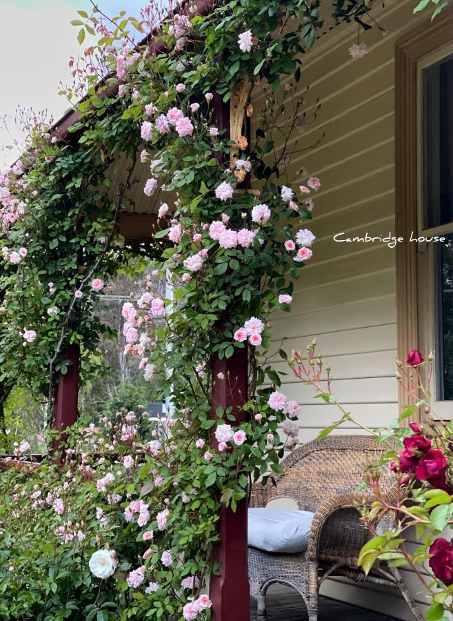 Cambridge House Breakfast & Bed Bed and Breakfast Geeveston Eksteriør billede