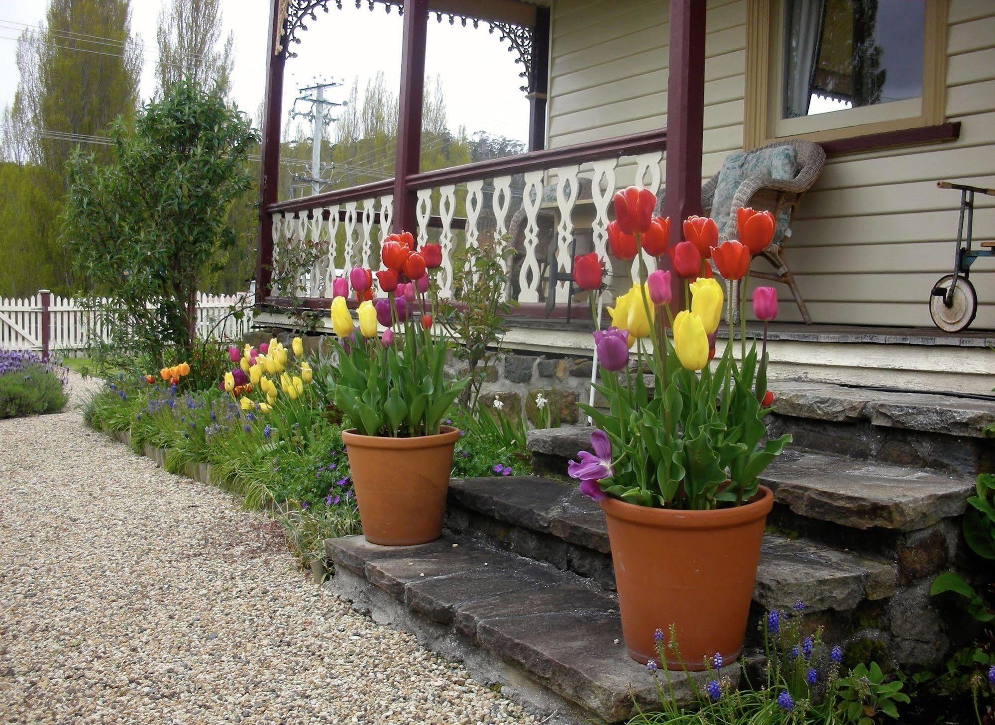 Cambridge House Breakfast & Bed Bed and Breakfast Geeveston Eksteriør billede